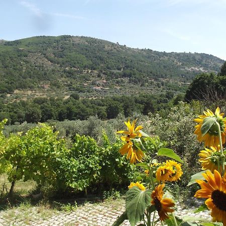 Quinta Do Pina Apartment Гуарда Екстериор снимка