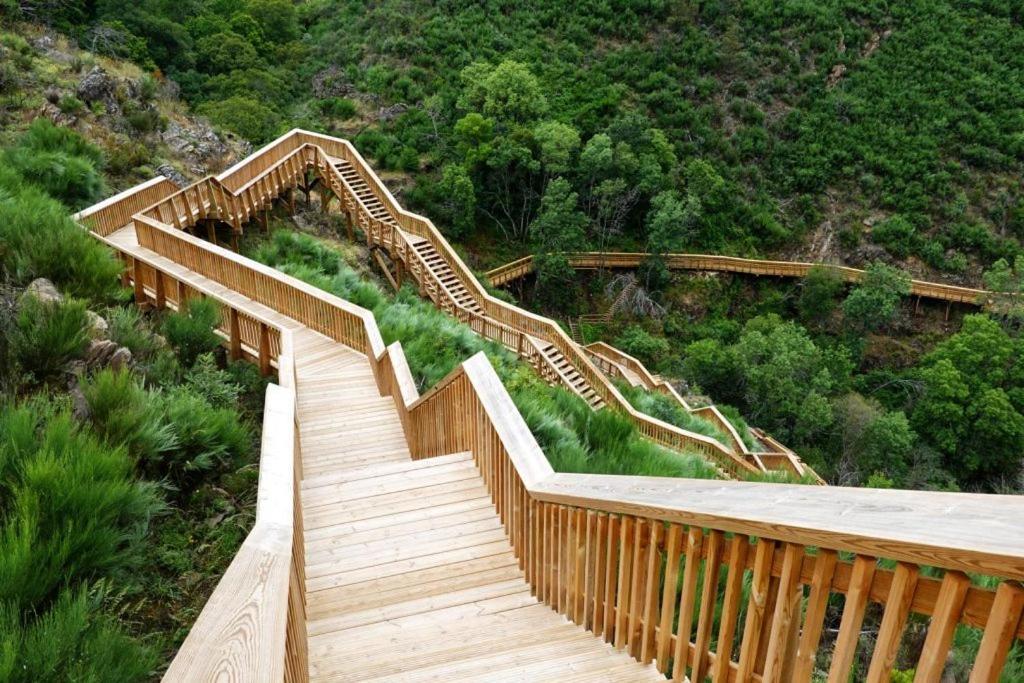 Quinta Do Pina Apartment Гуарда Екстериор снимка